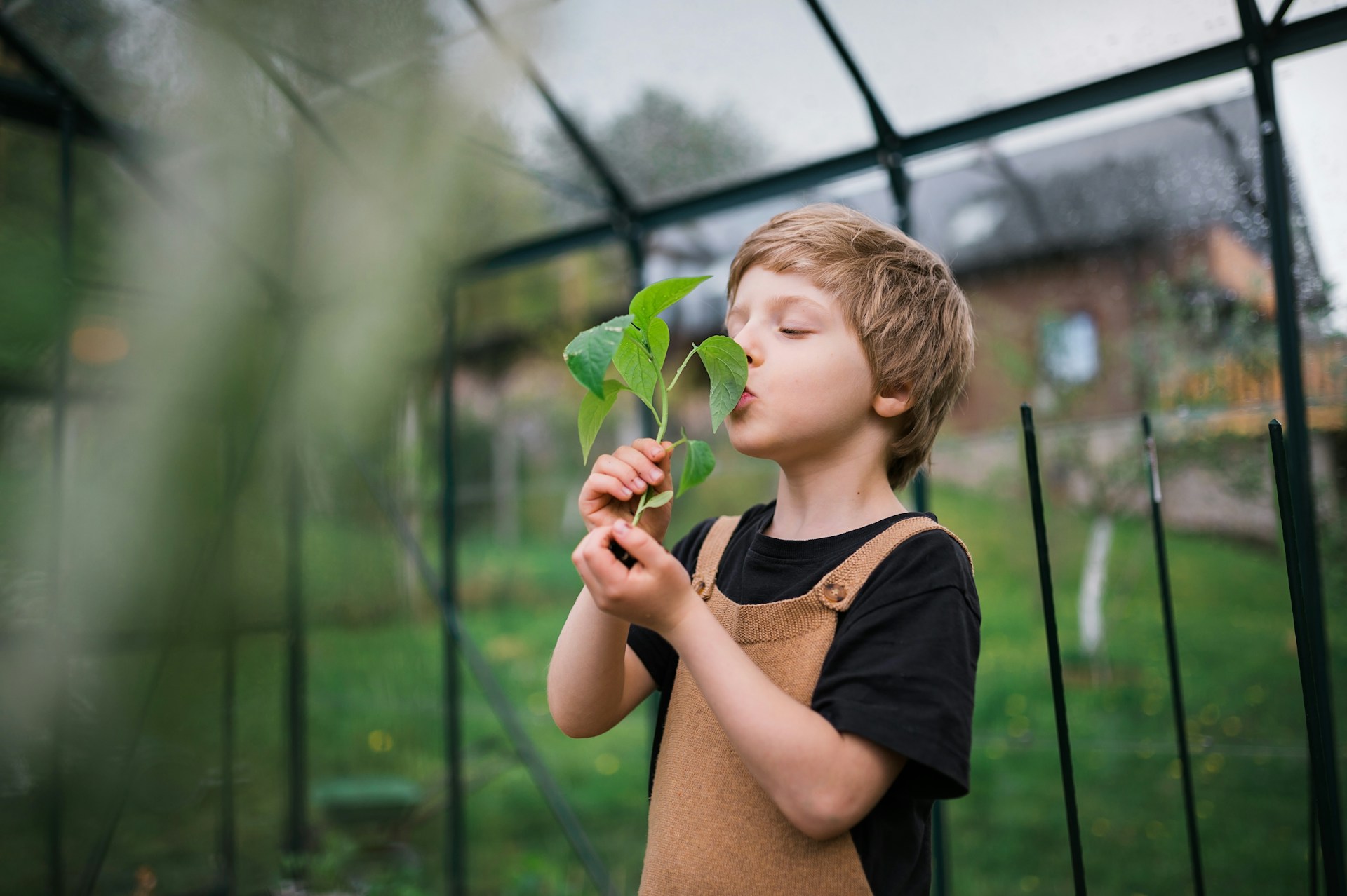 Child in a greenhouse smelling a young plant seedling